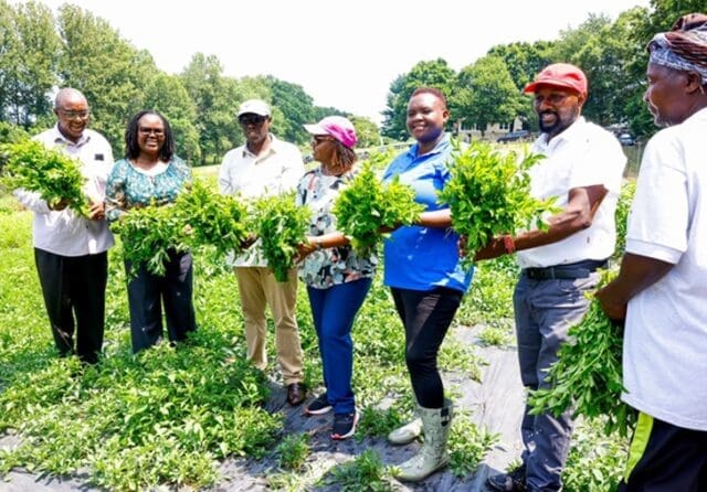 Kenyan Diaspora who grow African Traditional Vegetables in USA